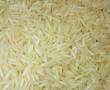 فروش برنج از شالیزارهای پاکستان