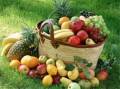 خریدار محصولات میوه کشاورزان و باغداران