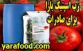 رب گوجه فرنگی اسپتیک برای صادرات