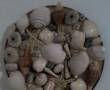 تابلو صدف و تابلو گل دست ساز