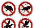 سمپاشی تضمینی علیه حشرات