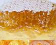 فروش ۱ تن عسل طبیعی کردستان
