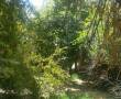 500 متر باغ در ویسی عقیلی