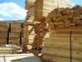 صنایع چوب ; فروش چوب خرید چوب تخته الوار