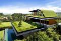 شرکت سایه گستره بام آسیا بام و دیوار سبز green roo