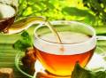 بازاریابی و پخش انحصاری چای با کمترین سرمایه