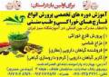 آموزشگاه پرورش قارچ و گیاهان دارویی سبزایران شیراز