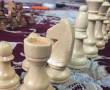 (چوبی) مهره ی شطرنج