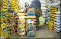 خرید و فروش انواع برنج هندی 1121 وارداتی