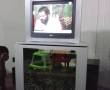 تلویزیون همراه زیرتلوزیون و تقویت کننده آنتن