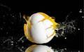 فروش تخم نطفه دار طیور محلی وزینتی