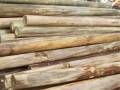 تولید چوب نما توسط راکتور اشباع